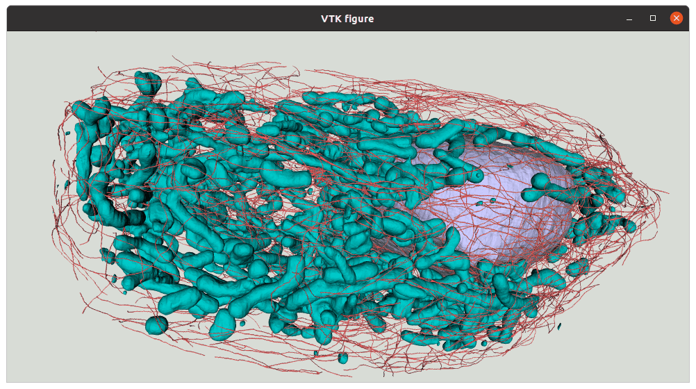 Screenshot of a raw image next to the mesh generated from it and displayed using vtkplotlib.